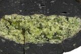 Sliced Olivine Crystal Filled Volcanic Bomb - Spain #301763-4